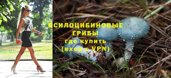 бошки Алексеевка