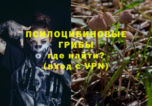 бошки Алексеевка