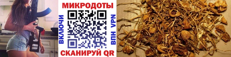 KRAKEN вход  Орехово-Зуево  Псилоцибиновые грибы Cubensis 